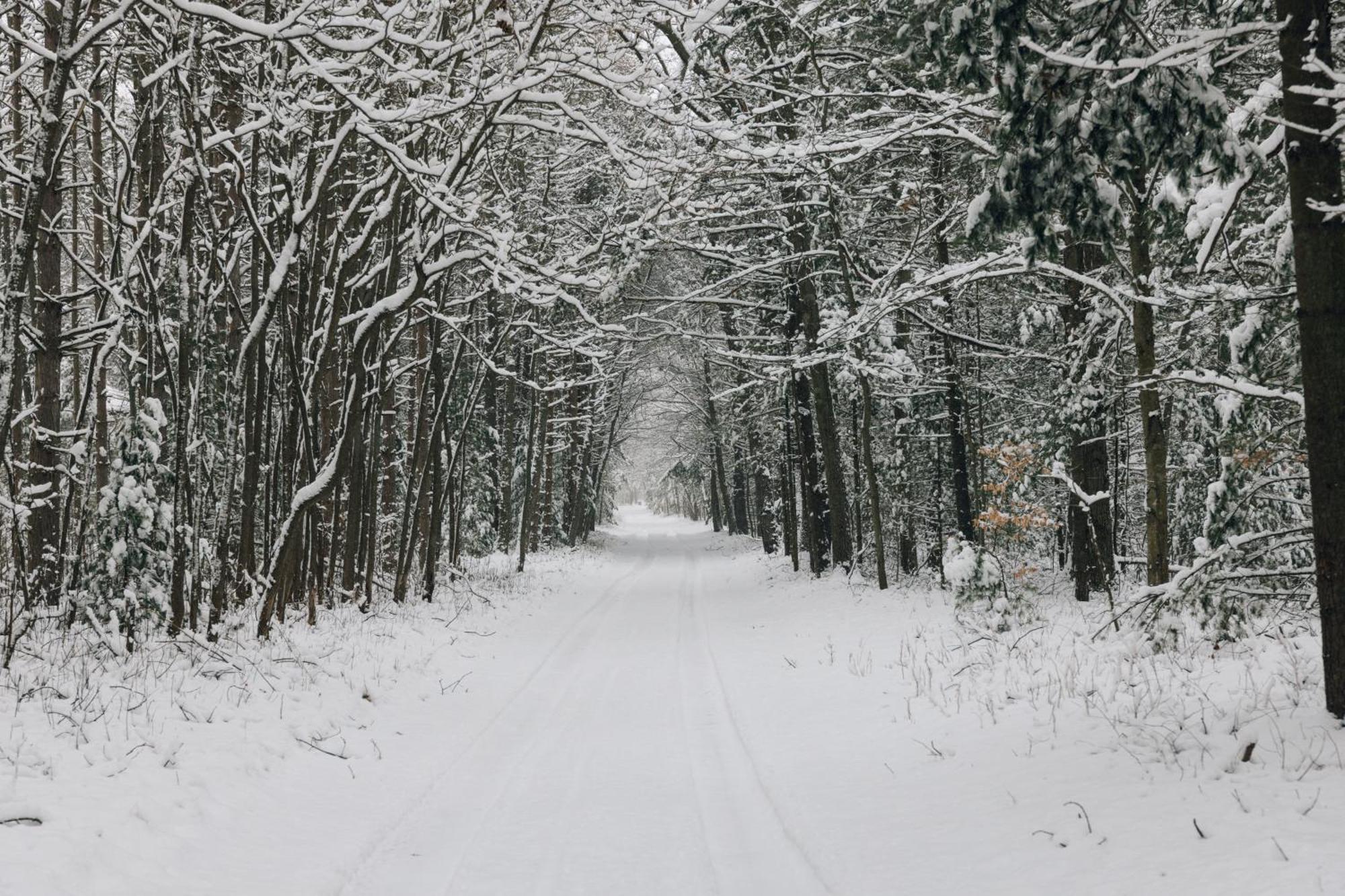 Scenic Drive Resort Маскигон Экстерьер фото